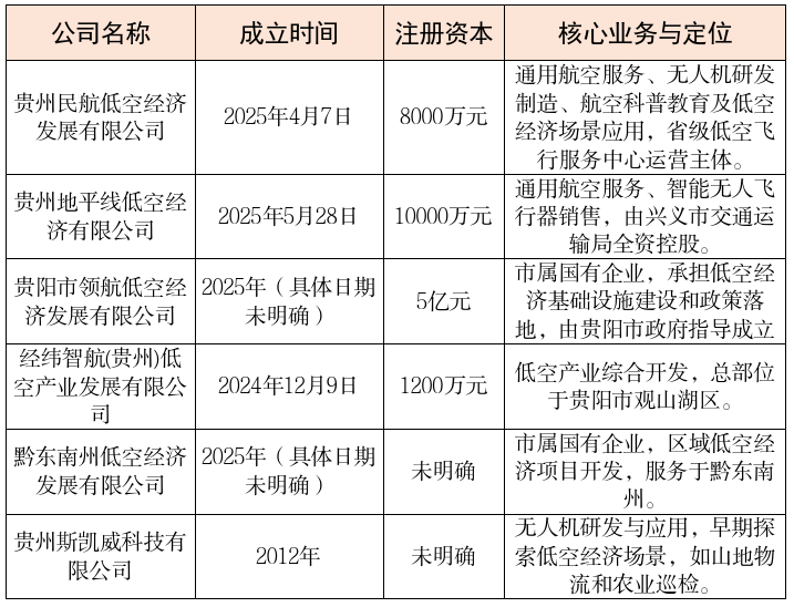 主要低空经济公司概览